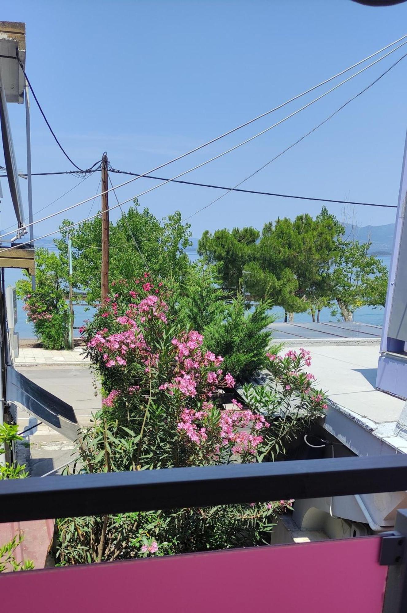 Okeania Seafront Rooms In Kamena Vourla Dış mekan fotoğraf